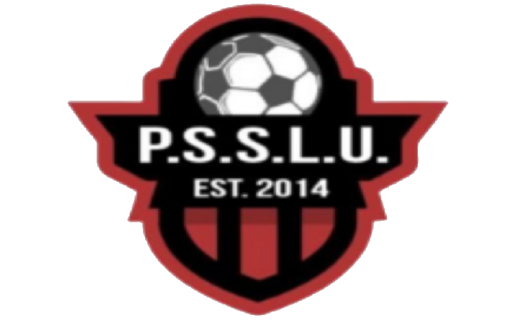 Logo 1